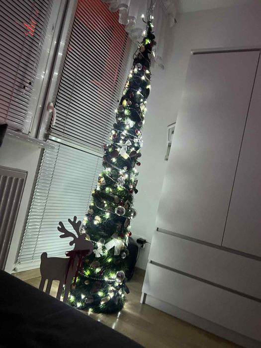 Choinka slim stożek 200-210