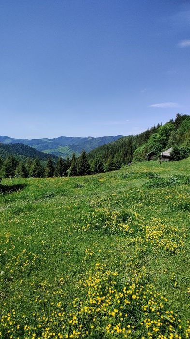 продам ділянку 0.33г
сило Верхній Ясенів присілок Запогар усі деталі