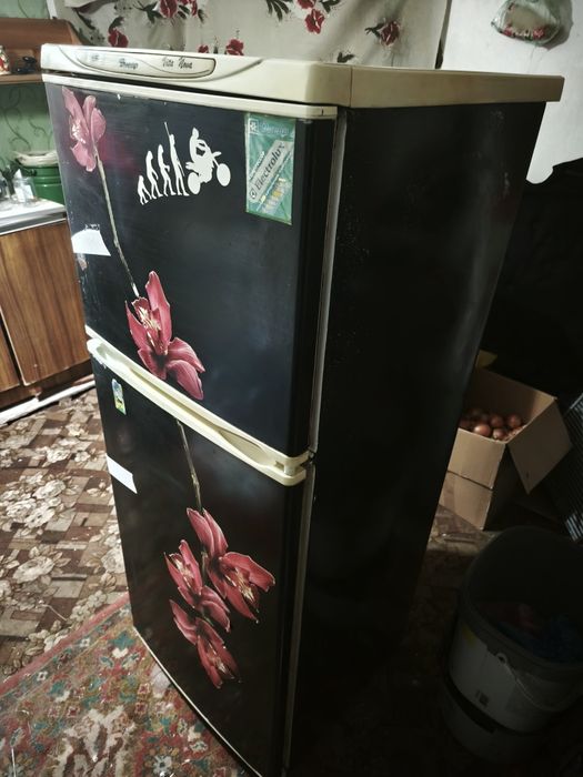 Холодильник Днепр