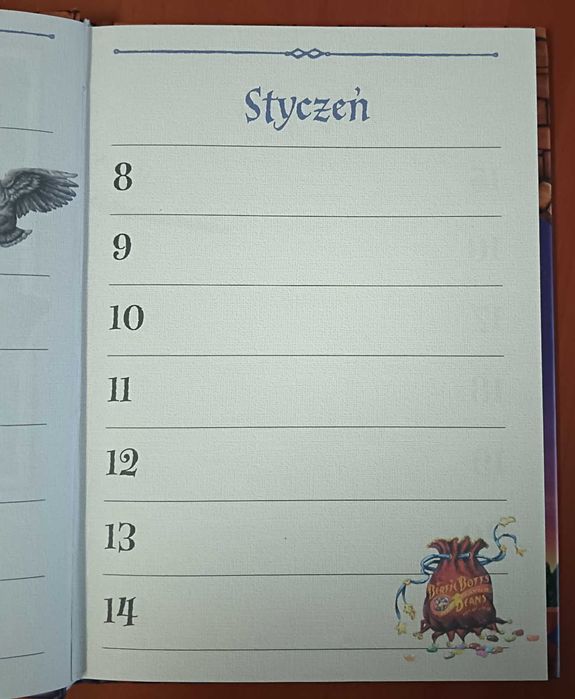 Dziennik ucznia A5 Harry Potter 2 szt.