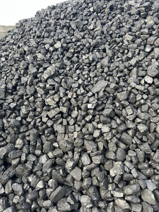PELLET Pino lava ekorafit barlinek dąb olczyk bartex grudzien bebelno bimarex