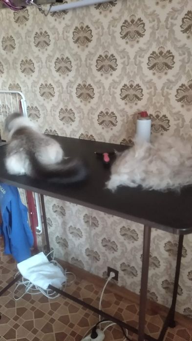 Груминг собак и кошек