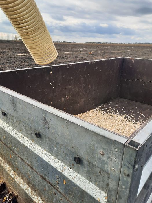 Гарбузовий комбайн