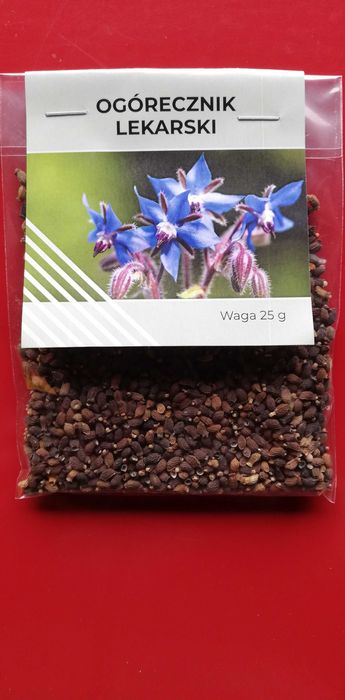 Miododajny ozdobny ogórecznik lekarski