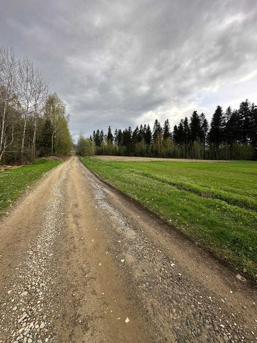 Земельна ділянка в с. Мигово Чернівецької області