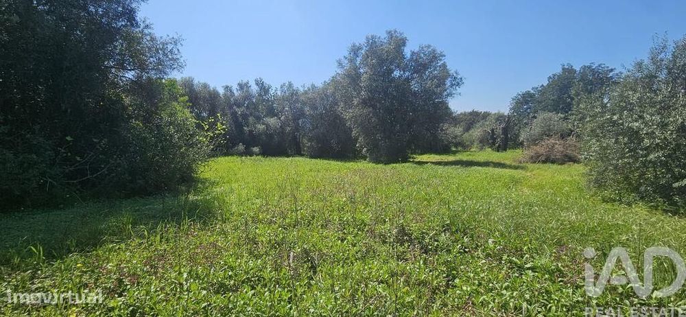 Terreno misto em Querença, Tôr e Benafim