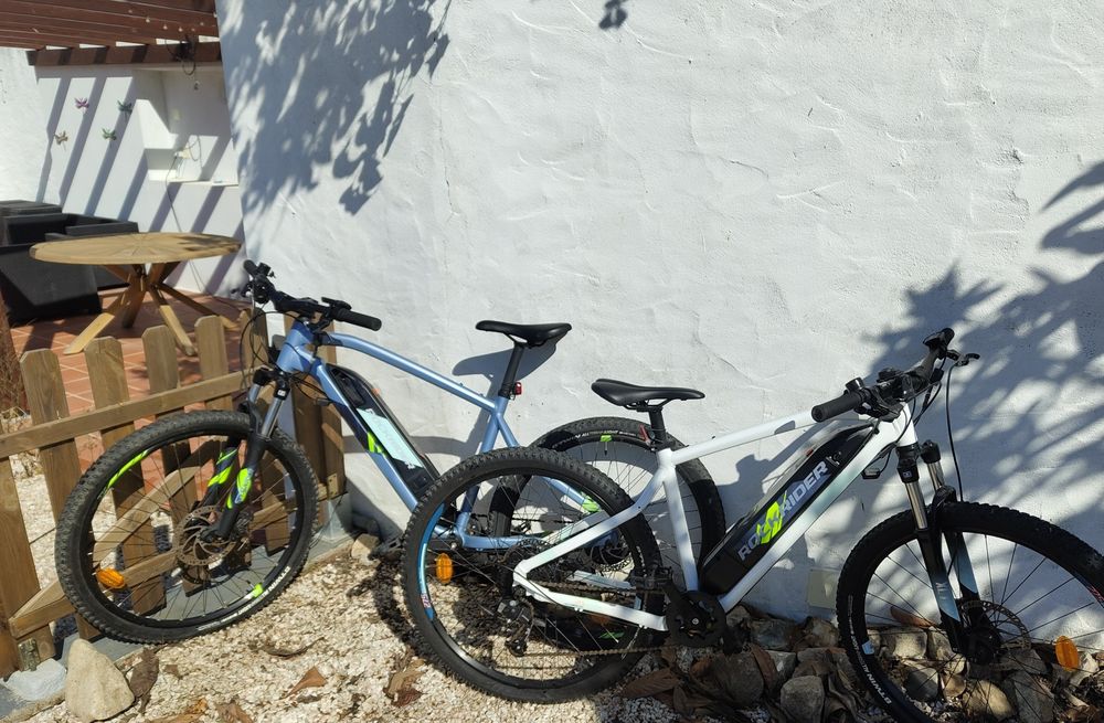 2 X Rockrider E-st100 ebikes L and S