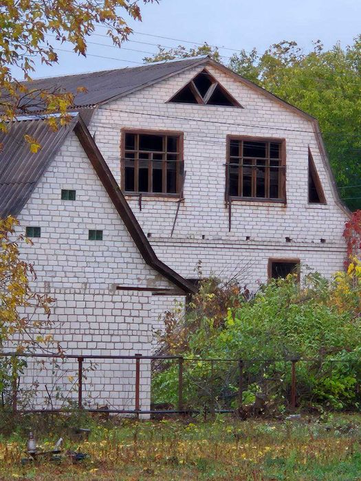 Будинок у селі Мошни