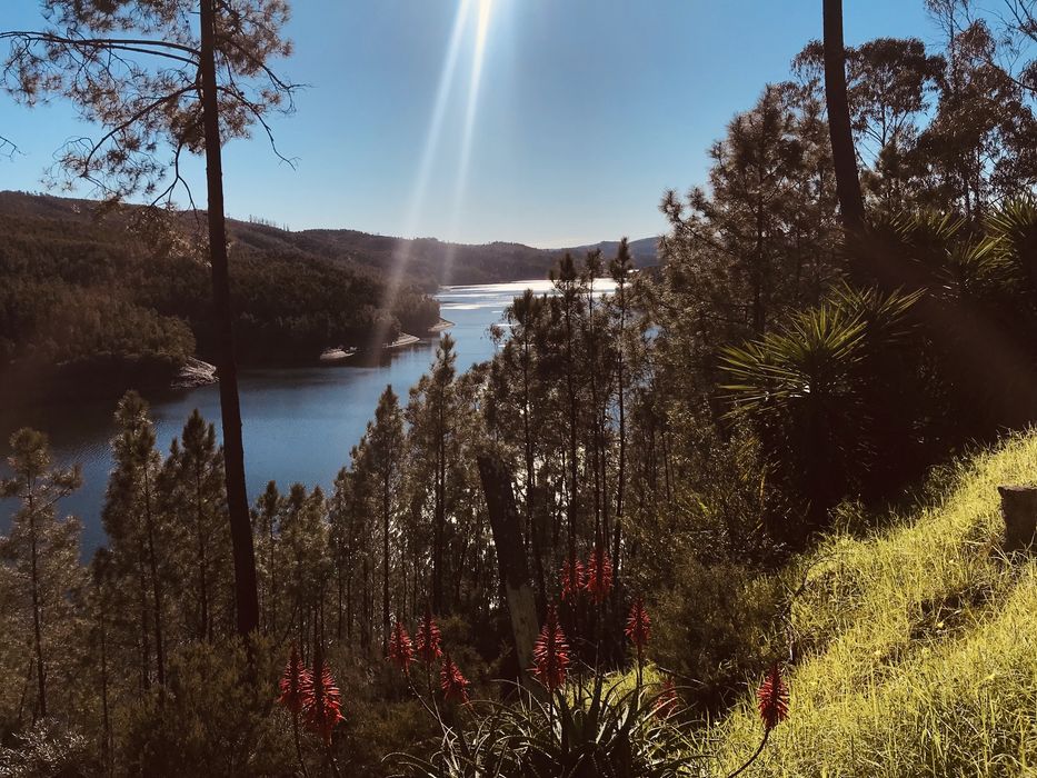 Casa Férias - Barragem Castelo de Bode