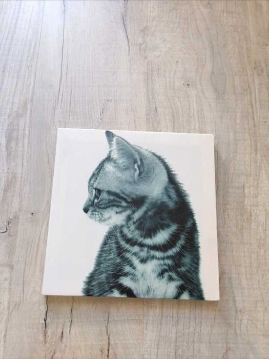 Decorative Picture64550365059586120