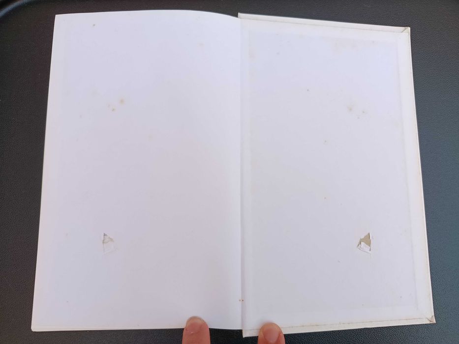 Livro "Os Putos", de Altino do Tojal