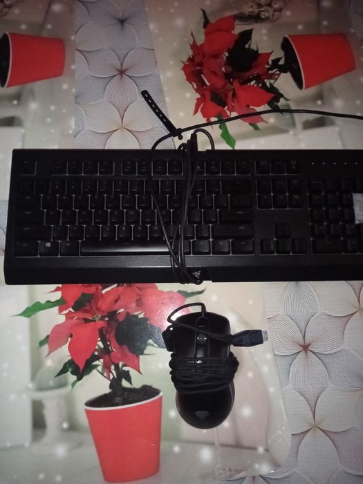 Klawiatura Razer i myszka Genesis