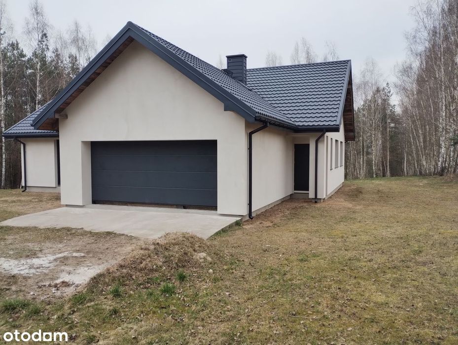 Dom, budynek gospodarczy, staw i las