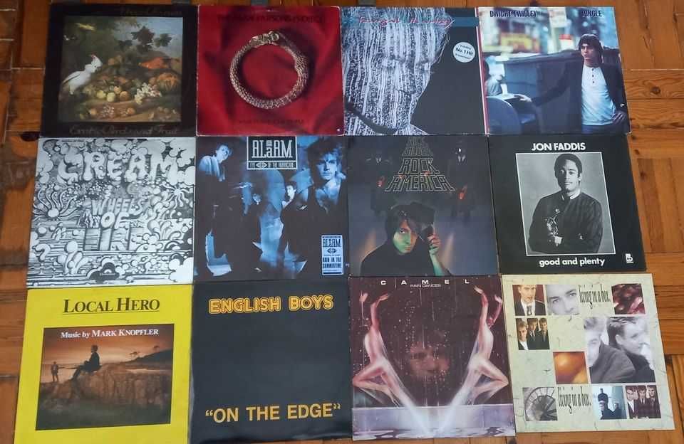 Lote de vinil de vários LP`s e maxis