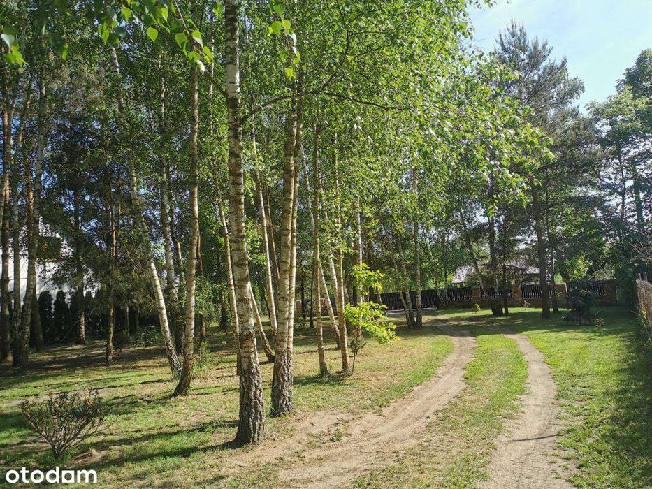 Dom z własną linią brzegową