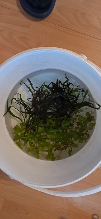 Akwarium 90l z osprzętem