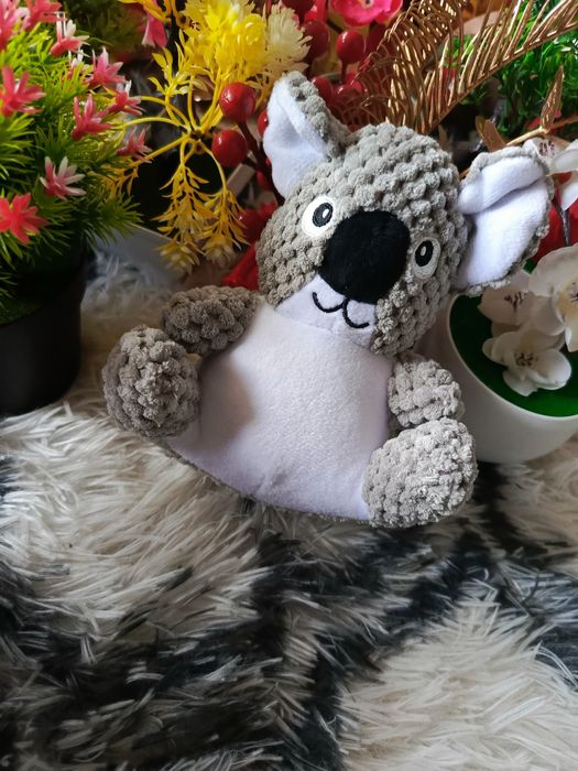 Miś koala pluszak maskotka