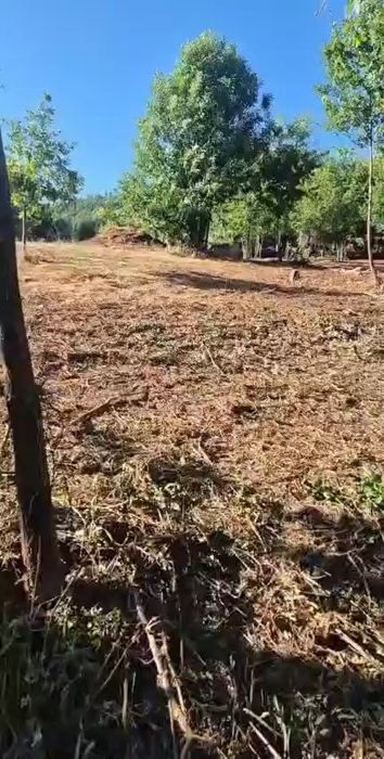 Terreno com casa em ruinas