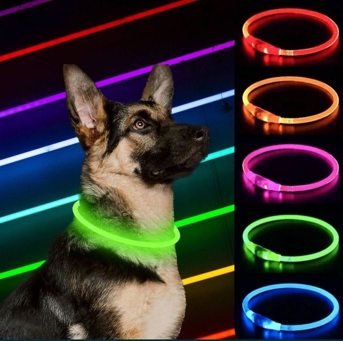 Ошейник Светящийся аккумулятор 35-70см нашийник USB GLOW RING 3 режима