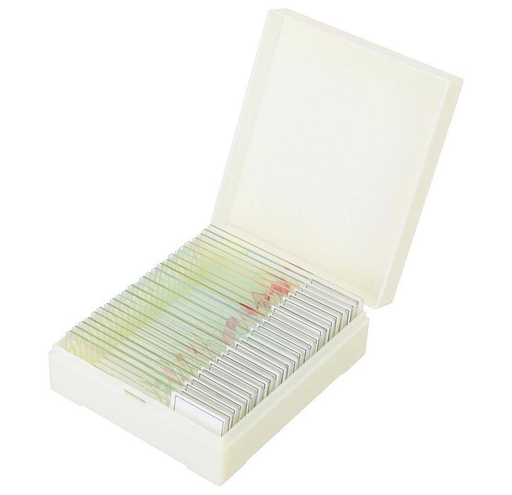 Discovery DPS 25 / Zestaw preparatów mikroskopowych