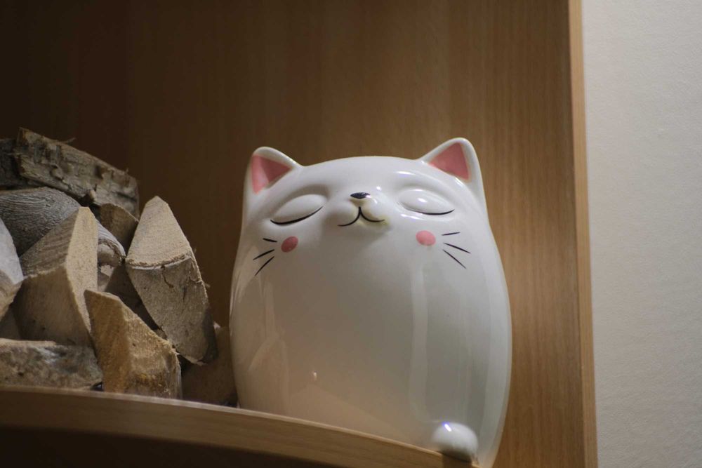 Obiektyw Pentacon Auto MC 135mm f2.8 M42