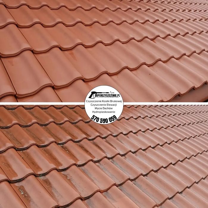 Czyszczenie Dachów Kostki Brukowej Malowanie  Elewacji Lubaczów