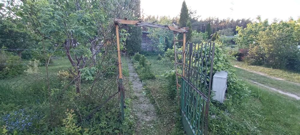 sprzedam działkę ROD w Olsztynie, Słoneczna Polana - Widok 6