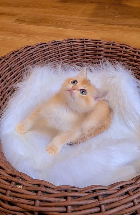 Оочень красивый ласковый мальчик