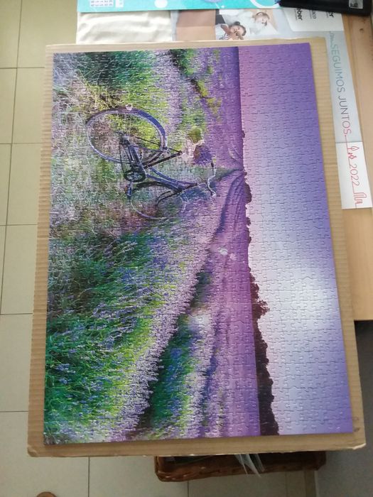 Puzzles de 1000 peças