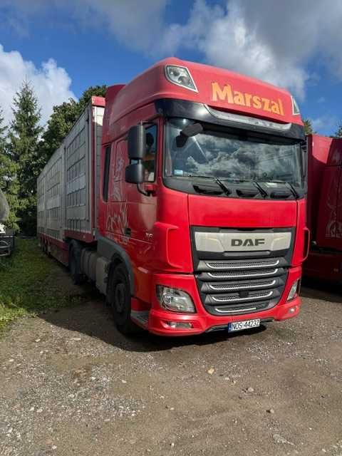 DAF