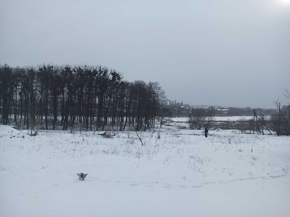 Продаж чарівної земельної ділянки в Стижавці