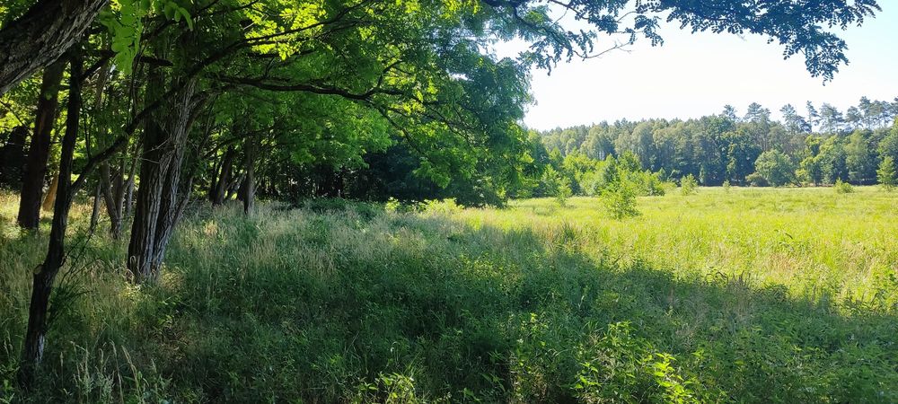 10 ha w malowniczej dolinie