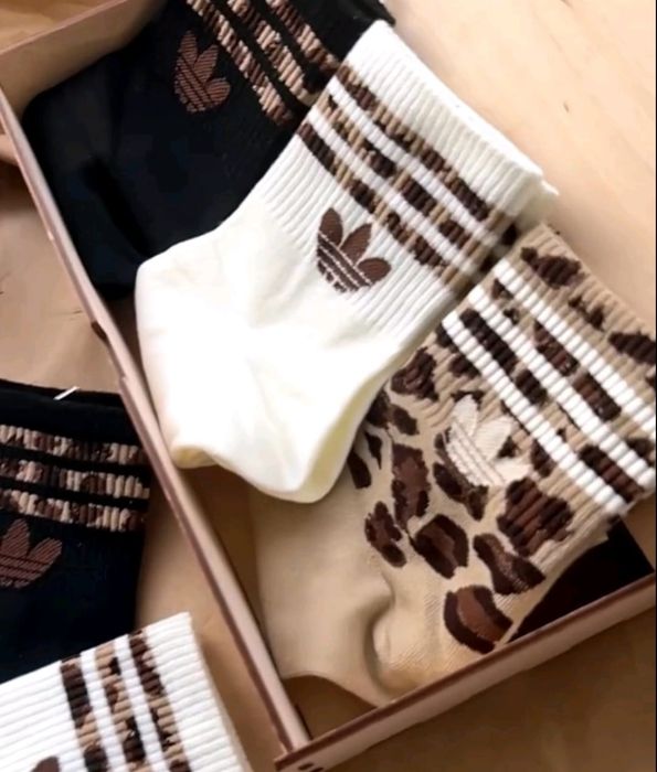 Zestaw 5 par skarpetek damskich