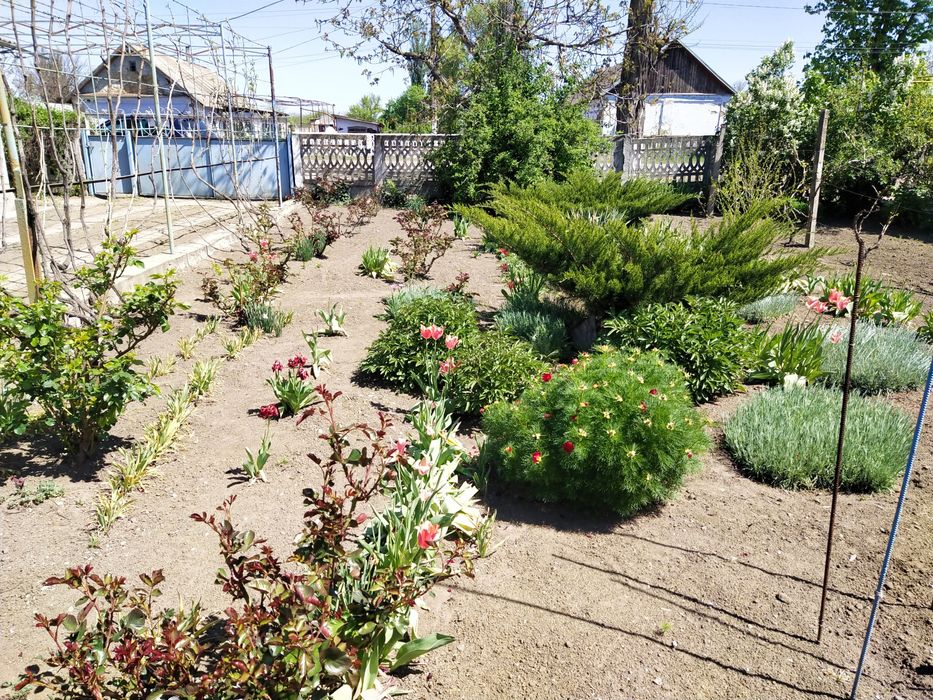 Продается дом с.Степановка