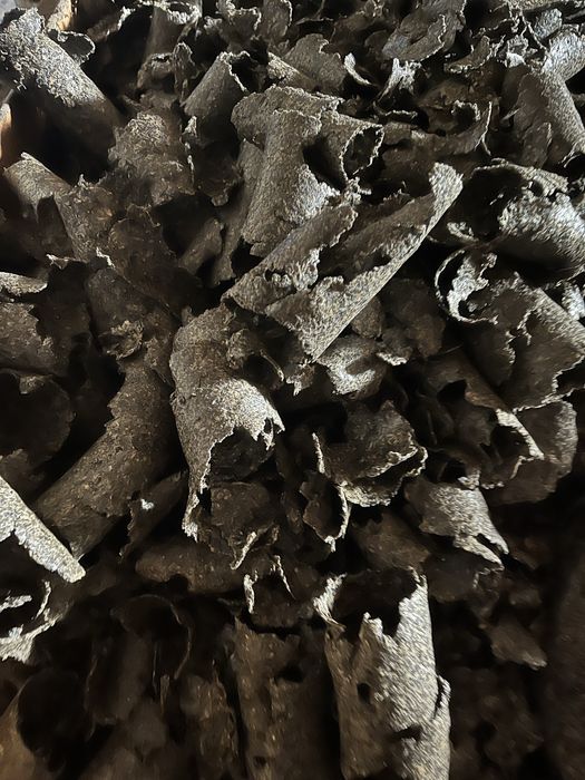 Макуха соняшникова.