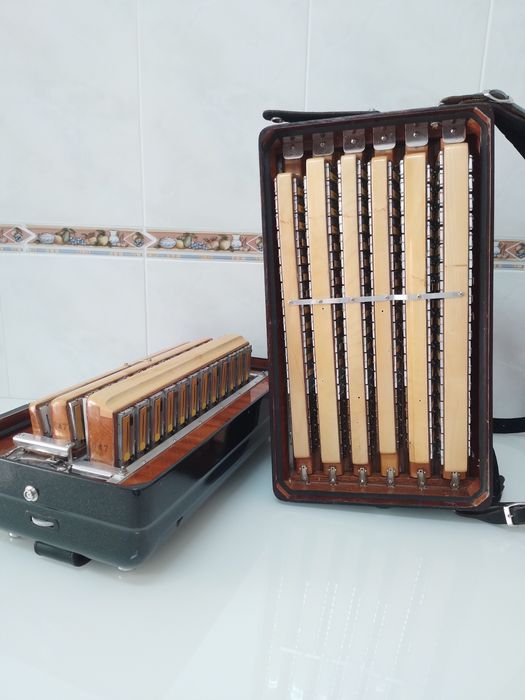 Acordeon/Acordeão   Piermaria  3+3 nos bxs