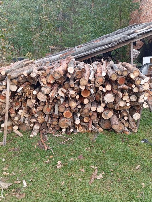 Sprzedam drzewo mieszane lub dąb i brzoza