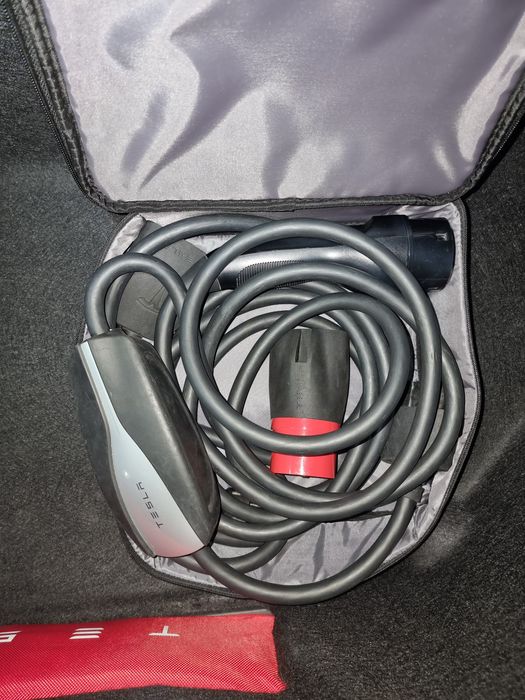 Тесла Х Tesla X 100 з Нідерландів Intel