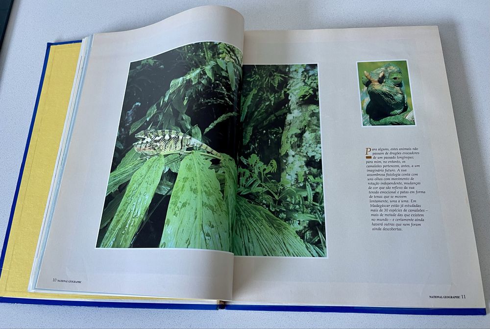 Livro National Geographic Society – Paraísos do Mundo Animal