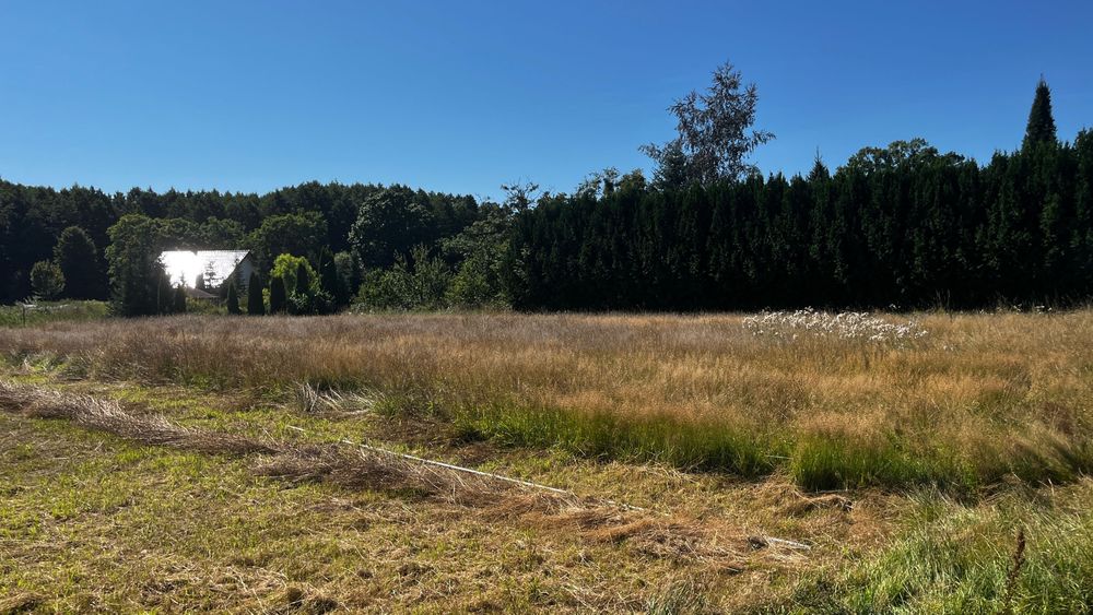 Dzialka na sprzedaz (posiada warunki zabudowy) -spokojna okolica na Warmii - Widok 4