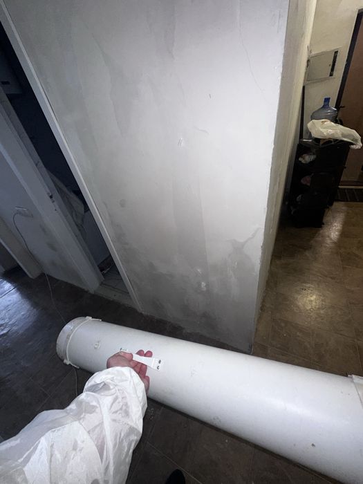 Удаление и устранение грибка , удаление плесени.Работа любой сложности