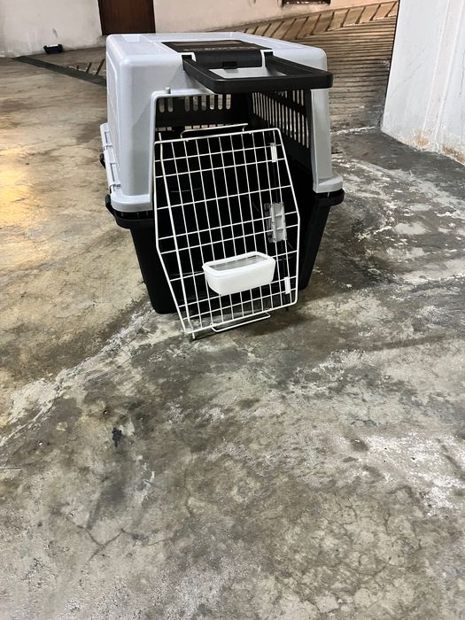Transportadora para cão