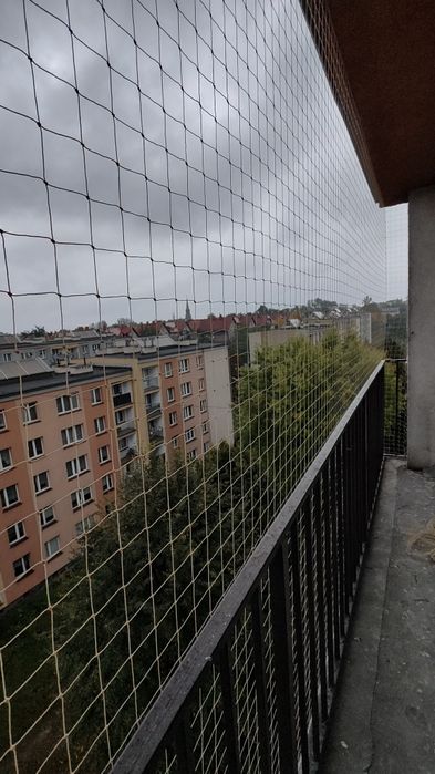 Siatka dla kotów na balkon. Krótkie terminy.