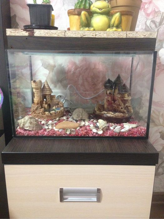 Аквариум для рыбок