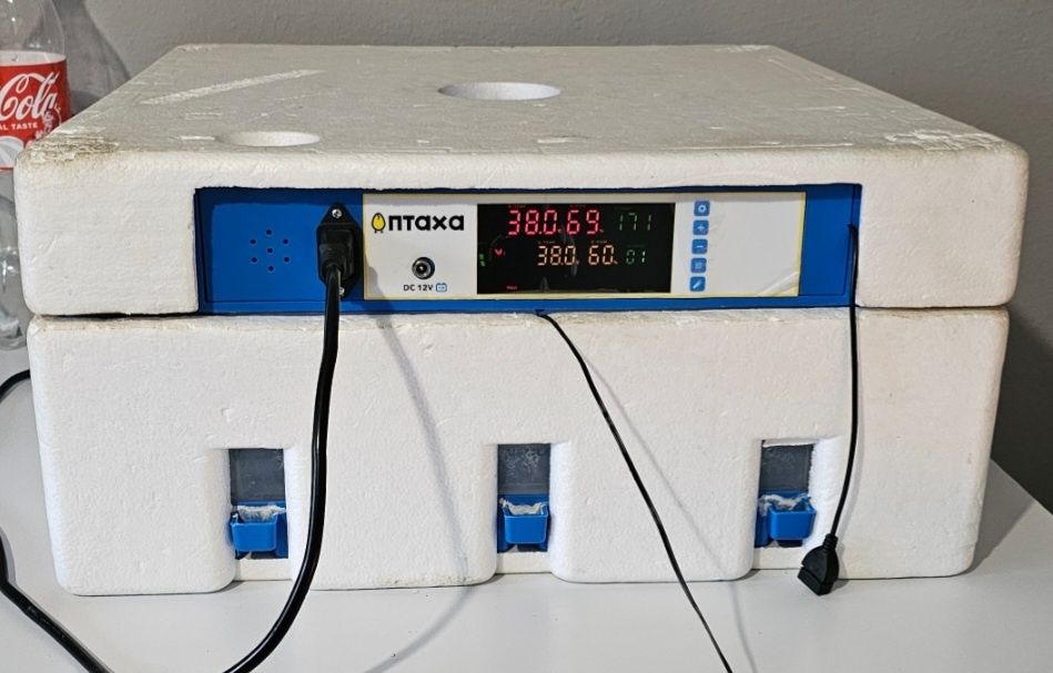 Продам інкубатора