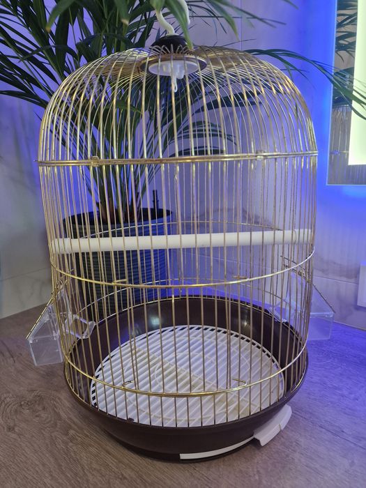 Золота клітка для птахів, розмір 33×53 см