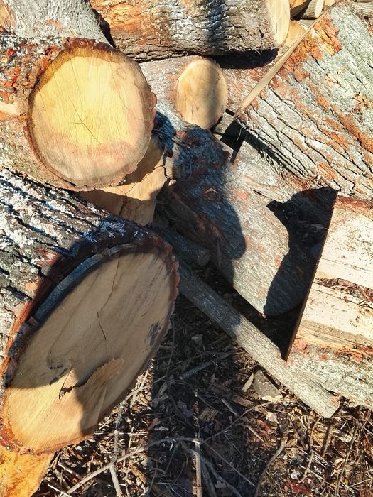 Продам дрова.Київ та Київська обласьть