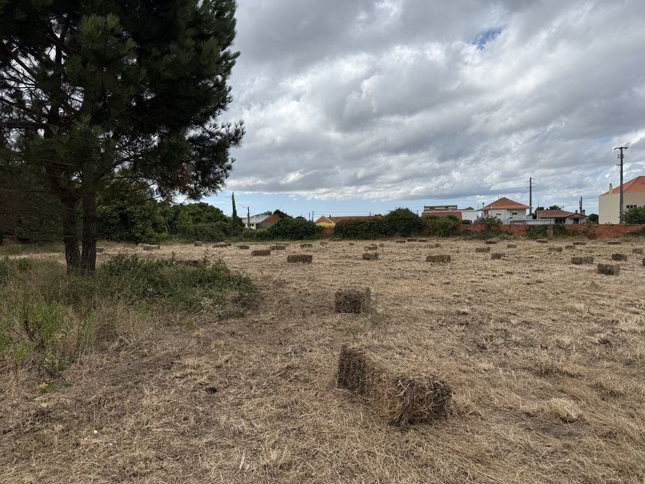 Fardos de palha