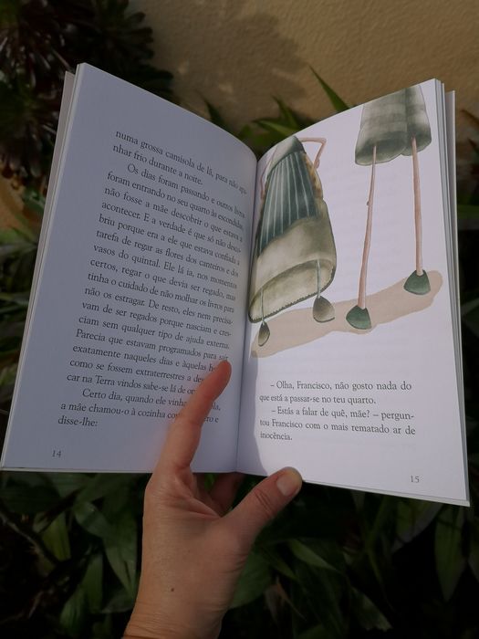 Portes Incluídos Livro O Canteiro dos Livros