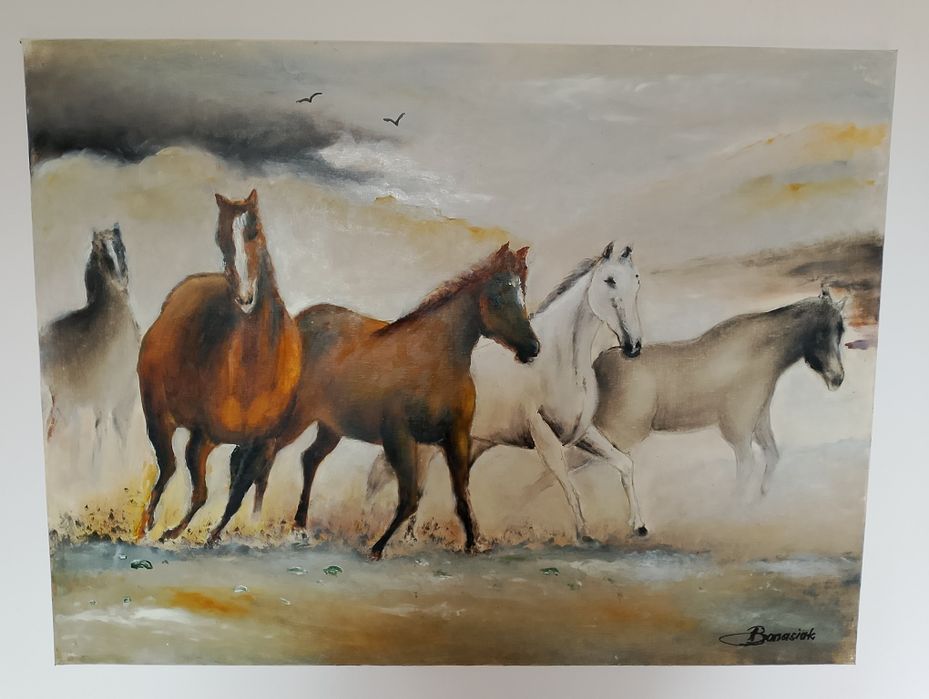 Obraz 80/60 cm konie